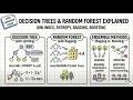 Decision Trees &amp; Random Forest Explained | Gini Index, Entropy, Bagging, Boosting