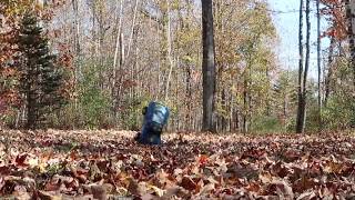 RC Car Rally Test