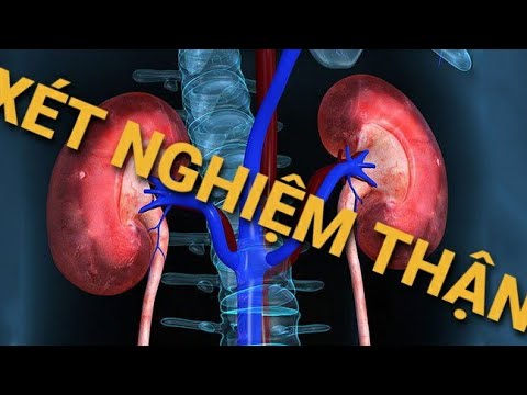 Video: Xét Nghiệm Thận Mới ở Chó Và Mèo Hữu ích Như Thế Nào?