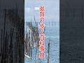 【滋賀の民俗学】山と湖の記憶を記録した橋本鉄男！木地師研究の第一人者が遺したものとは？ #琵琶湖 #滋賀県 #民俗学