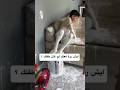 كون تصرالك هك واش تديري كون تصرالك هك واش تديري