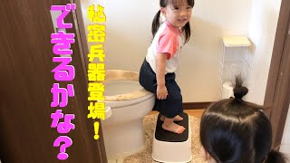 我が家に踏み台が届きました！【トイレチャレンジ】