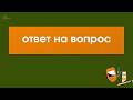 ответы  на вопросы