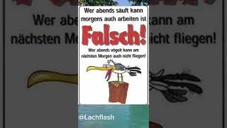 #lachen #lustig #witzig #humor #ironie #spaß #comedyshorts #funnyvideos