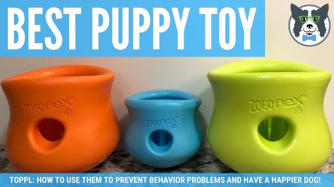 Toppl Treat Dispensing Dog Toy from West Paw Review! 