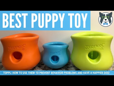 Best Food Toy for Your Puppy or Dog: Solve Behavior Problems Using a This Westpaw Toppl Toy!