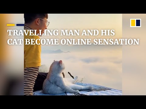 Man and his cat, travelling across China, become online sensation