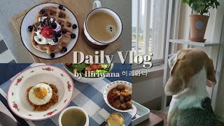 댕댕이와 함께하는 직장인의 소소한 일상 vlog ) 주말일상/ 고추참치 김치볶음밥/ 대청소/ 단팥빵 와플과 커피/ 산책/  강아지 미용/ 다이소 털기/ 충무김밥/ 생일선물 언박싱