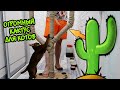 ОГРОМНЫЙ КАКТУС ДЛЯ КОТОВ СВОИМИ РУКАМИ! CACTUS FOR CATS