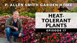 Heat Tolerant Flowers: Garden Home VLOG (2019)