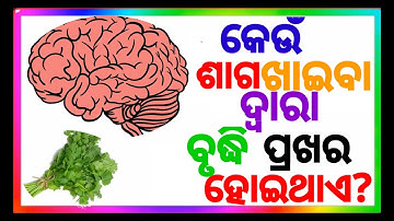 Odia Gk ।। Odia Gk Question And Answers ।। General Knowledge Odia ।। Gk In Odia ।। Odia Quiz ·
