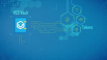 VGS: Data Security Starts here