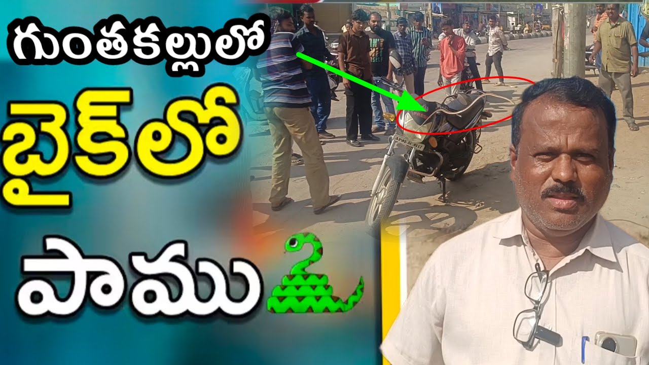 బైక్ హెడ్‌లైట్‌లో పాము – భయంతో కిందపడేసిన వాహనదారుడు..!
