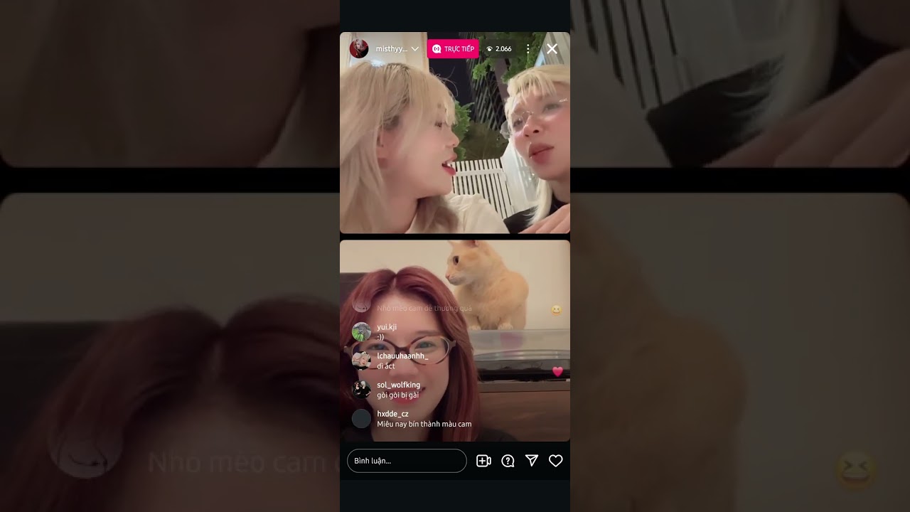 misthy, đồng ánh quỳnh, hoàng yến chibi live 19.5.2025