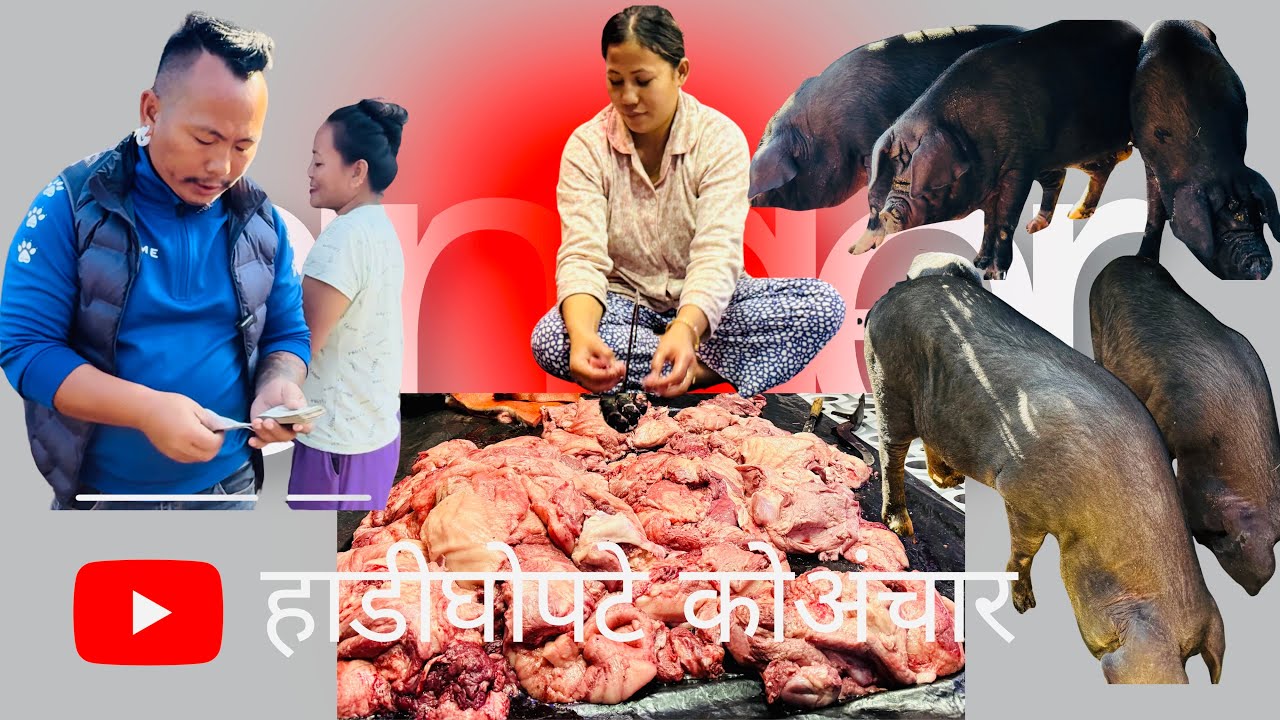 बबाल छ सिरिप ४ पिपल ९२ हजार मा चमाचम🙏🏻❤️👍