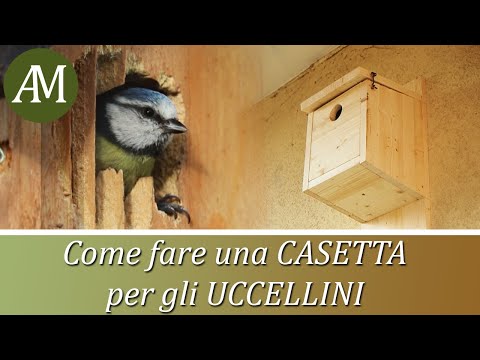 Video: Come fare una casetta per gli uccelli? Crea una casetta per gli uccelli con le tue mani. Disegno, foto