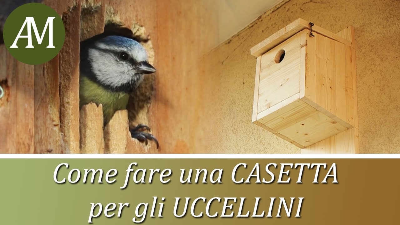 Come costruire una casetta di legno per uccellini