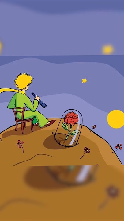 Topics covered in the book 'The Little Prince'