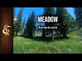 Meadow  breeze birds lively warm asmr ambience  3 hours