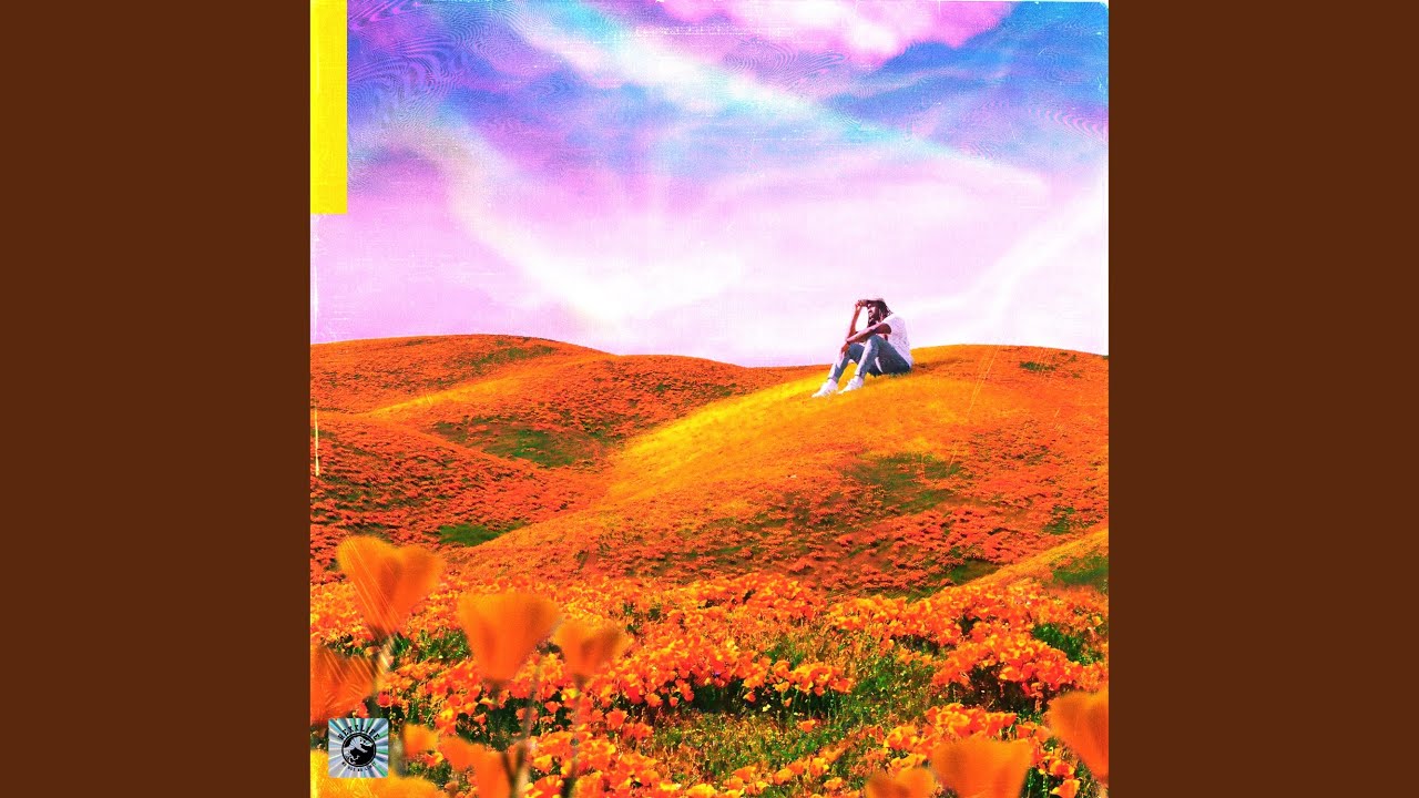 Poppy Poppy