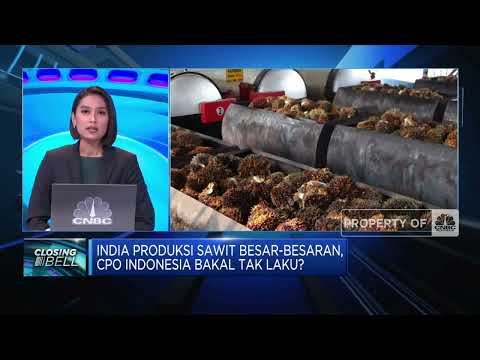 CPO RI Terancam Tak Laku, Pengusaha Minta Pemerintah Lakukan Ini