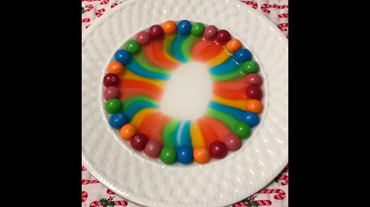 Skittles Experiment Time-Lapse