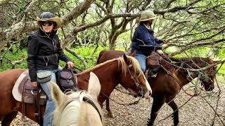 Montana De Oro Horse Camp in Morro Bay, CA  2023