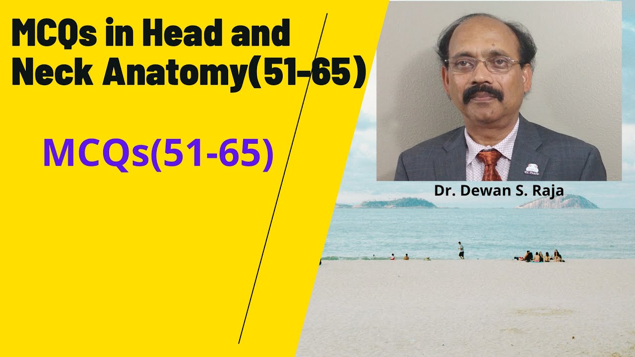 MCQs in Head and Neck Anatomy (51-65)