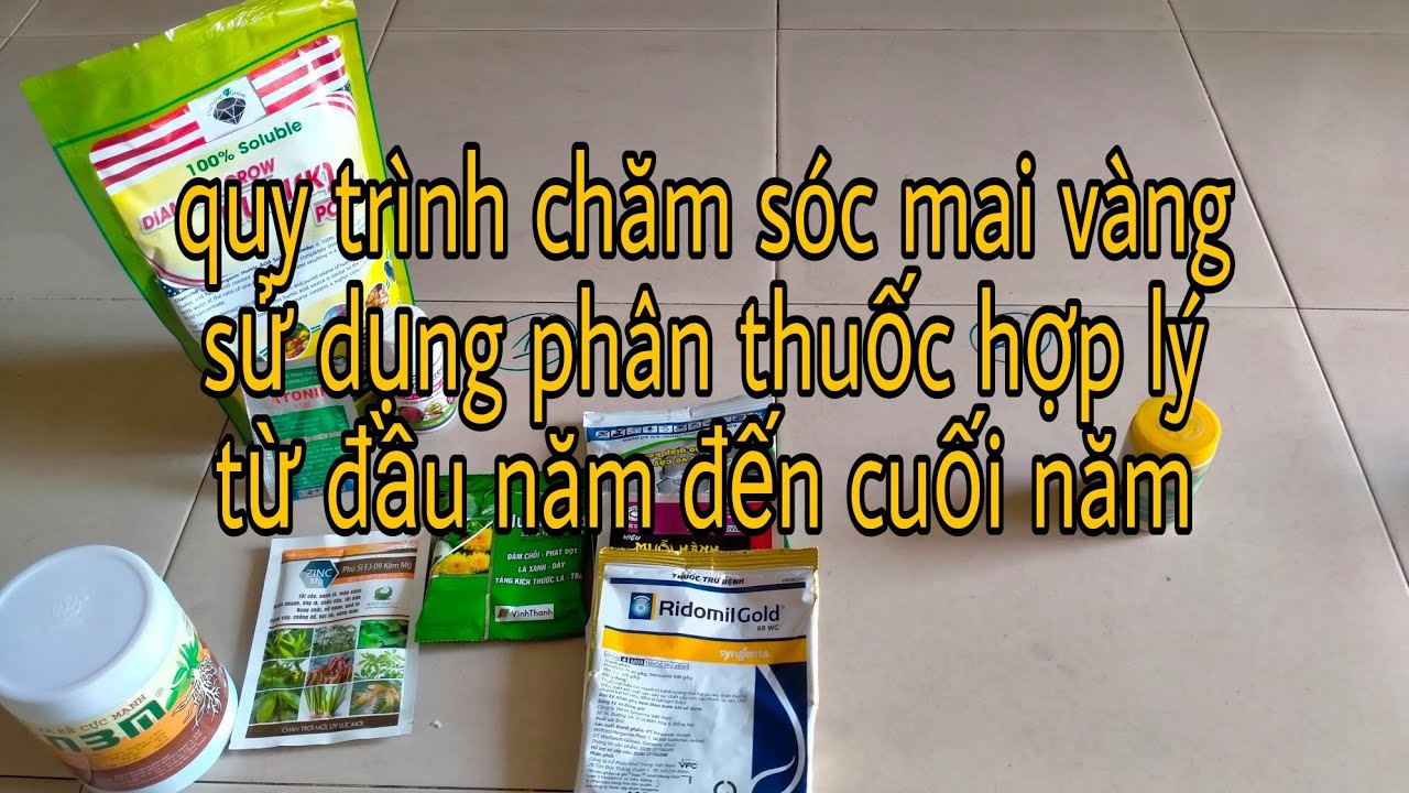 Sử dụng phân thuốc đúng cách cho mai vàng từ đầu năm đến cuối năm