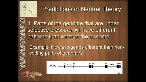 BIOL 6330 Unit 2 3 3 Neutral Theory Uses