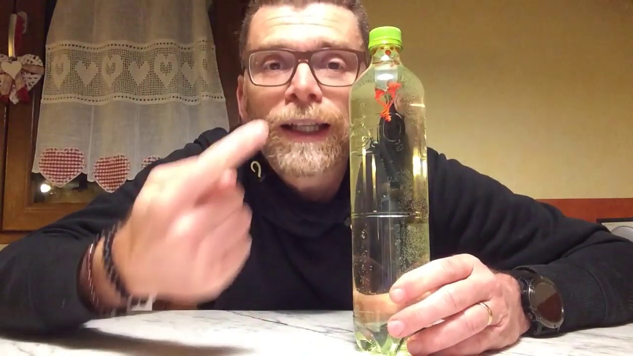 Il principio di Pascal e il Diavoletto di Cartesio