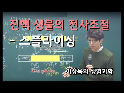 진핵생물의 전사조절_ 스플라이싱