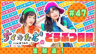 「ちく☆たむのどうぶつ日記 生配信!!」＃47