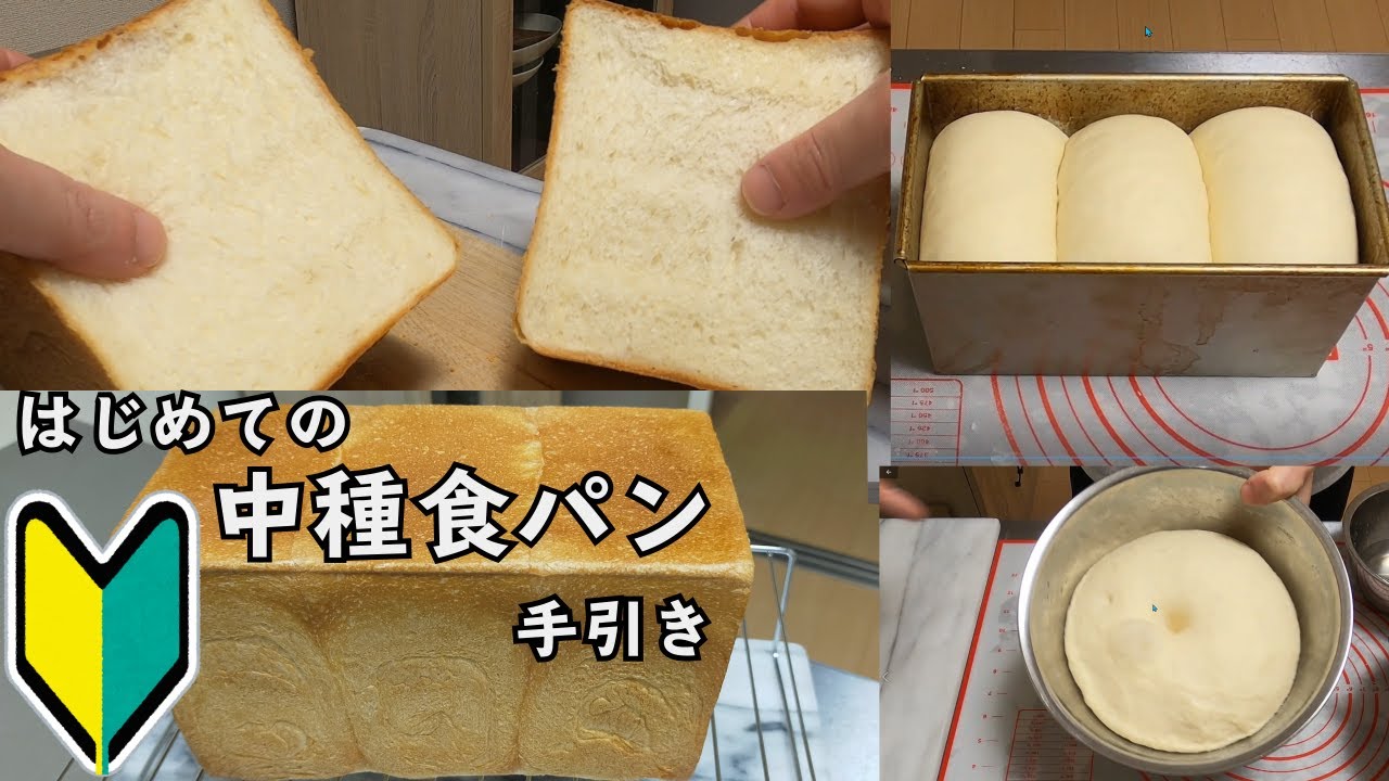 【中種食パン】『一番普通の中種食パン』で中種入門。美味しい角食パンの作り方。