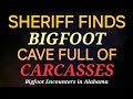 SHERIFF FINDS BIGFOOT CAVE FULL OF CARCASSES