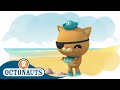 Octonauts - Showing Kindness to Others | Cartoons for Kids | Underwater Sea Education image