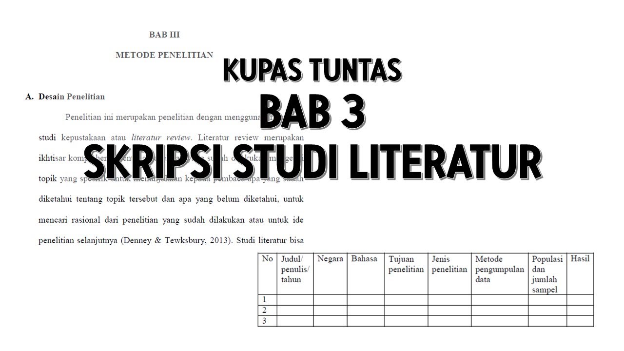 bab 3 literature review