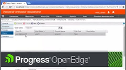 Creating tenants, domains, and users in a Progress OpenEdge multi tenant database