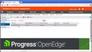 Creating tenants, domains, and users in a Progress OpenEdge multi tenant database