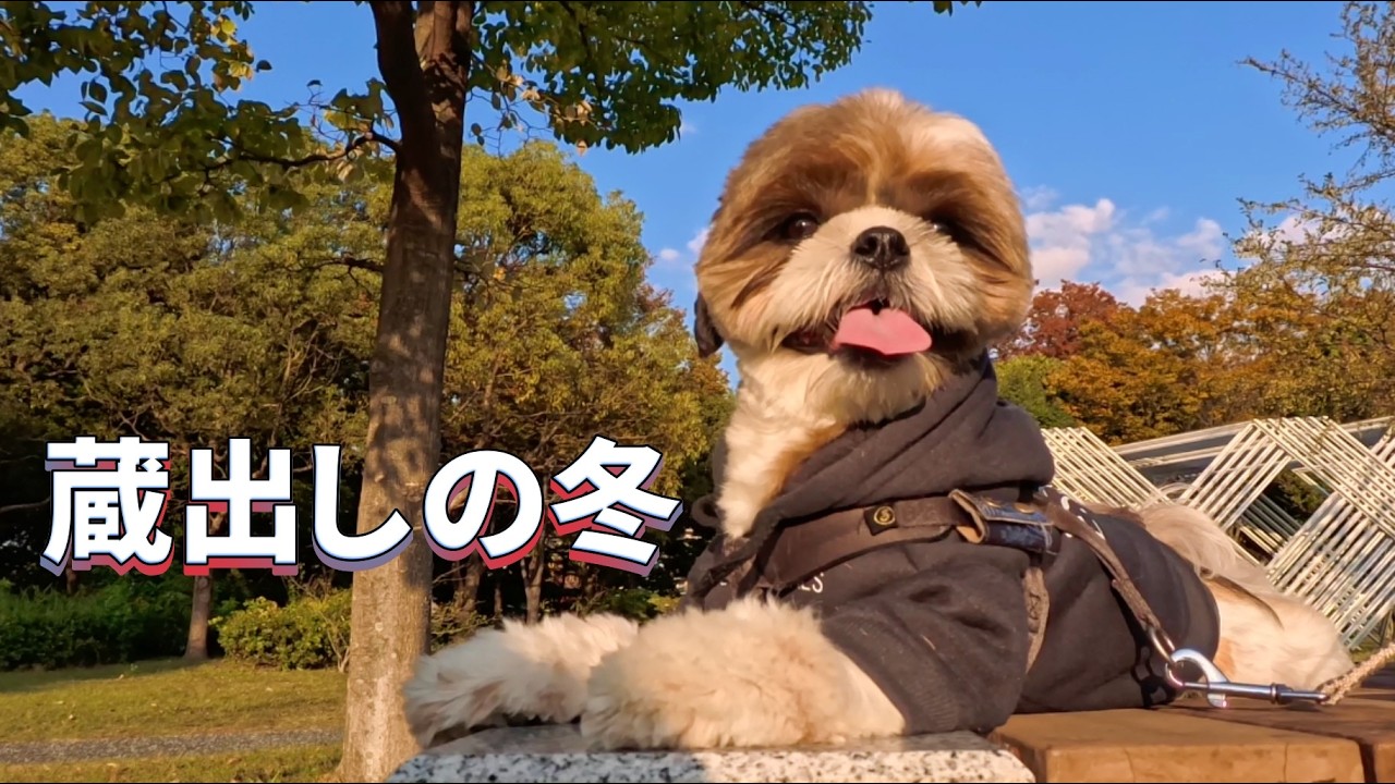 第５７話蔵出しの冬