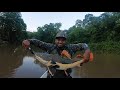 Pesca y Aventura desde el río Guaviare, Cajaro, Cachamas y Pirañas