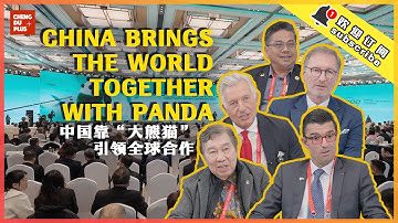 How China Bring the World Together for Nature-caring? Pandas