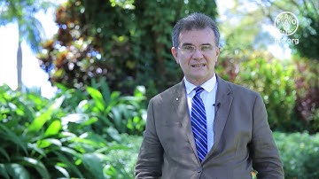 Involving the private sector in South-South Cooperation