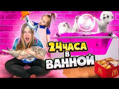 Видео: 24 ЧАСА В ВАННОЙ С КОТАМИ И СОБАКОЙ! УТКА ЛАЛАФАНФАН РОДИЛА УТЁНКА!