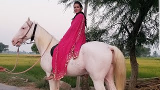 HORSE RIDING VLOG  | Brave kudiya punjab diya