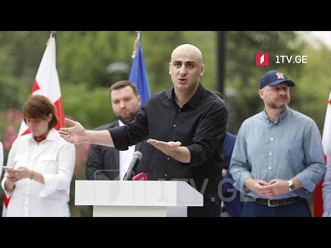 ოთხი ოპოზიციური პარტიის მაჟორიტარობის კანდიდატები