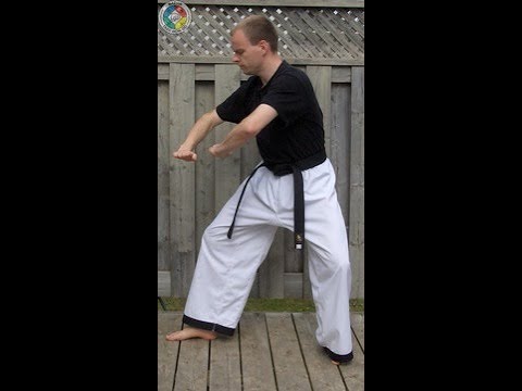 Taekwondo: Hapkido: Foundations: Double palm downward block - side view