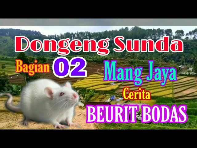 Dongeng Sunda Mang Jaya Cerita BEURIT BODAS bagian ke 02 class=