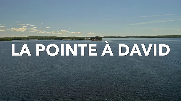 La Pointe  David