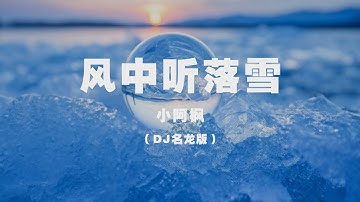 小阿楓 - 風中聽落雪（DJ名龍版） ◖望山南踏過山北，心無山水冷眼看花皆是悲◗ [Official Lyric Video] 官方動態歌詞版